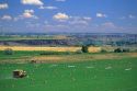 Hay harvest near Twin Falls, Idaho.