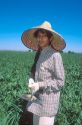 Hispanic female migrant worker weeding sugar beets.