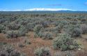 Desert forground and mountain background in extreme south east Oregon.
