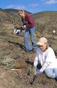 Student volunteers planting sage brush in an area burned by a wild fire.