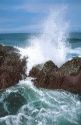 Waves crashing on the rocky coast of Oregon.