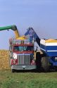 Corn harvest in Illinois.