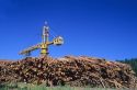 A crane used to move harvested logs in Wilamina, Oregon.