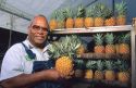 Hawaiian farmer with pineapple displayat fruitstand.