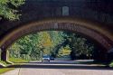 Colonial Parkway with arched brick bridge in Jamestown, Virginia.