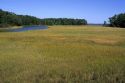 Tidal marsh in King's Creek near Yorktown, Virginia.
