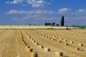 A tractor baling straw near Kimberly, Idaho.