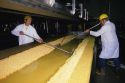 Workers using rakes to separate the curds in a cheese factory.
