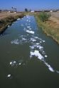 Water pollution in the New River on the United States and Mexico border, California.