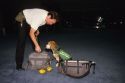 Agriculture's Beagle Brigade dog and trainer searching bags for fruit and vegetables.