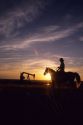 A silhouetted cowboy on horseback with an oil well in the background in Williston, North Dakota.