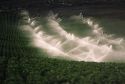 Sprinkler irrigation in an Idaho potato field.