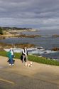 People walking their dogs along the rocky shore in Monterey, California.