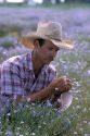 A farmer looking at a field of Flax in Idaho.