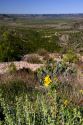 Pecos River Valley near Ft. Lancaster, West Texas.