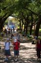 Students walking and using cell phones on the campus of University of Texas in Austin.