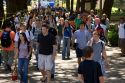 Students walking and using cell phones on the campus of University of Texas in Austin.