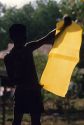 A sheet of processed latex backlit by the sun in Malaysia.  Worker inspects product prior to shipment.