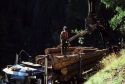 Harvesting timber near Horseshoe Bend, Idaho.