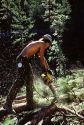 A logger at work with a chainsaw in the Boise National Forest.