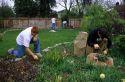 Teenage boys volunteer their time doing yard work and landscaping in Boise, Idaho.