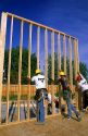 Construction workers lifting a stud wall into place.