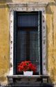 An apartment window with flowers in Venice, Italy.