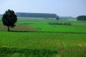 Farmland in the Po River Plains, Italy.