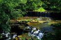 Falls Mill Stream in Belvidere, Tennessee.