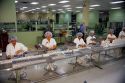 Workers packaging bottles at a pharmaceutical factory in Puerto Rico.