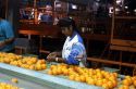 Grading and packaging oranges in Florida.