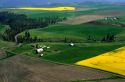 Aerial image of wheat and rape seed being farmed near Grangeville, Idaho.