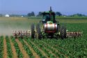 Cultivating and spraying sugar beets in Canyon County, Idaho.