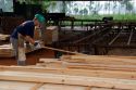 Worker sorting lumber at a lumber mill in Argentina.