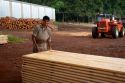 Worker sorting lumber at a lumber mill in Argentina.