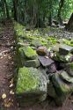 Rock walls are remains of a Marae, ancient settlement on the island of Moorea.