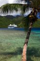 A coconut palm tree frames a view of the Paul Gaugin cruise ship anchored at Opunohu Bay on the island of Moorea.