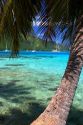 Sailboats anchored in the lagoon off the island of Moorea.