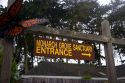 The Monarch Grove Sanctuary in Pacific Grove, California.