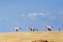 Hang gliders on sand dunes at Nags Head, North Carolina.