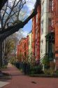 Brick row houses on Capitol Hill in Washington, D.C.