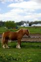 A farm scene with horses near Berlin, Ohio.