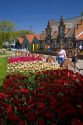 Windmill Island park with tulips in bloom at Holland, Michigan.