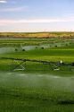 Sprinkler irrigation near Burley, Idaho.