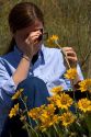 Woman examines yellow balsam root wildflower.