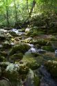 Stream flowing out of Blanchard Cavern in the Ouachita National Forest of Arkansas.