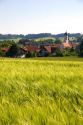 Barley grain field near Amersee, Germany.