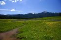Mountain meadow of wildflowers near Cascade, Idaho.