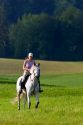 Rider on horseback near Zurich, Switzerland.