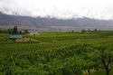 Orchards and low clouds in the Okanagan Valley south of Kelowna, British Columbia, Canada.